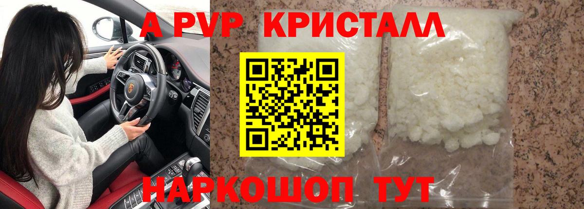 APVP СК КРИС Великий Новгород